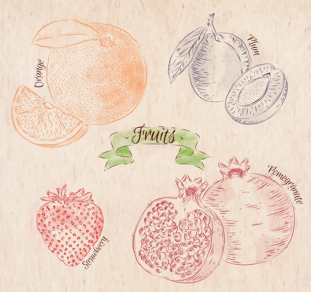 Frutas pintadas em cores diferentes em um estilo country laranja, ameixa, morango, romã