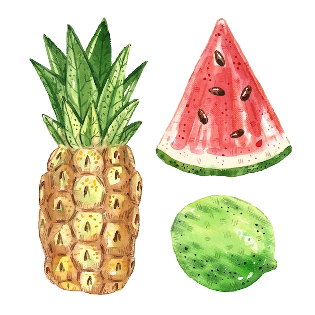 Frutas tropicais clip-art, conjunto. ilustração em aquarela.