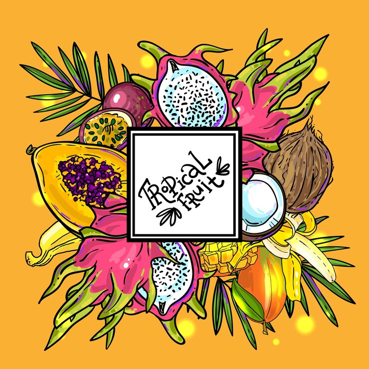 Vetor frutas tropicais vetoriais