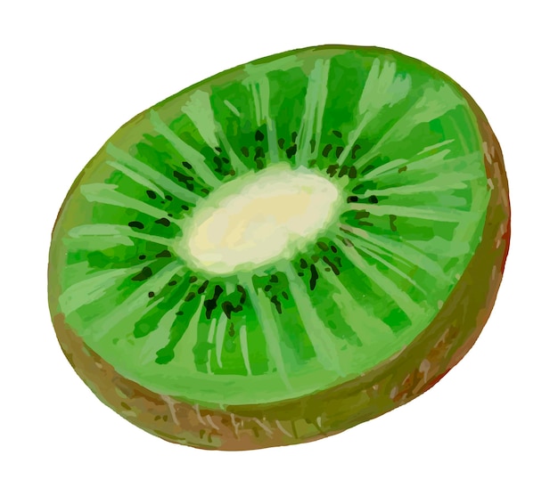 Fruto de kiwi brilhante e fresco Pintura acrílica de alimentos orgânicos Desenho realista