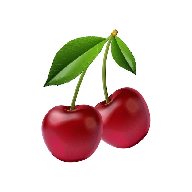 Fruto de maçã vermelho brilhante Ilustração vetorial de conceito de ícone de desenho animado