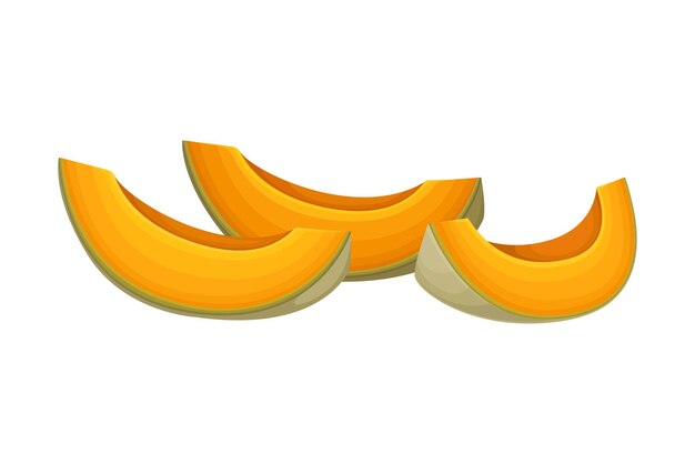 Vetor fruto de melão em fatias laranja isolado em ilustração vetorial de fundo branco