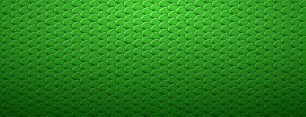 Fundo abstrato de escamas de dragão ou peixe em cores verdes Textura Squama Telhas de telhado