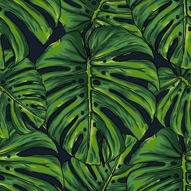 Fundo abstrato de folha verde monstera sem costura padrão