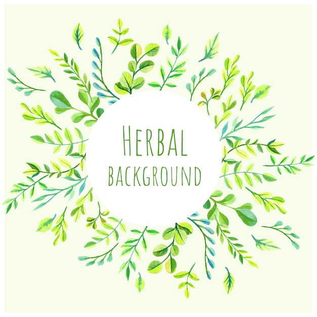 Vetor fundo aquarela herbal