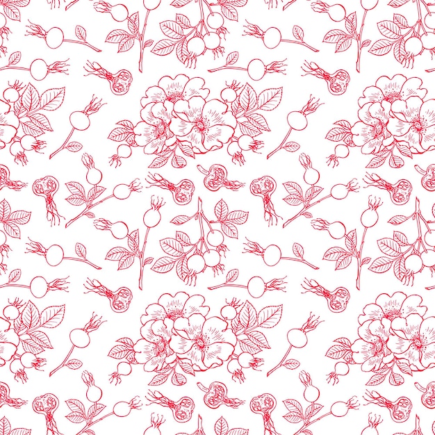 Vetor fundo bonito de flores e frutas da rosa brava. ilustração desenhada à mão