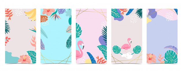 Fundo bonito para mídias sociais. Conjunto de história do instagram com flor, folha, verão