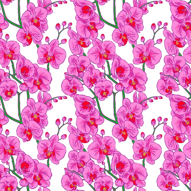 Fundo bonito sem costura de orquídeas cor de rosa. ilustração desenhada à mão