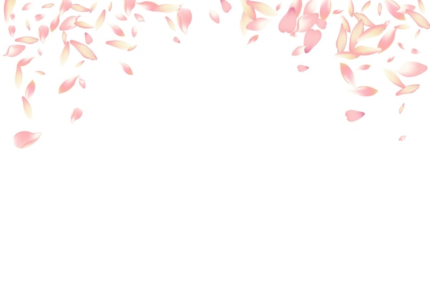 Fundo branco do vetor da pétala de sakura branco. cartão rosa pétala de lótus grátis. molde delicado da pétala da flor. parabéns pela pétala de maçã macia.