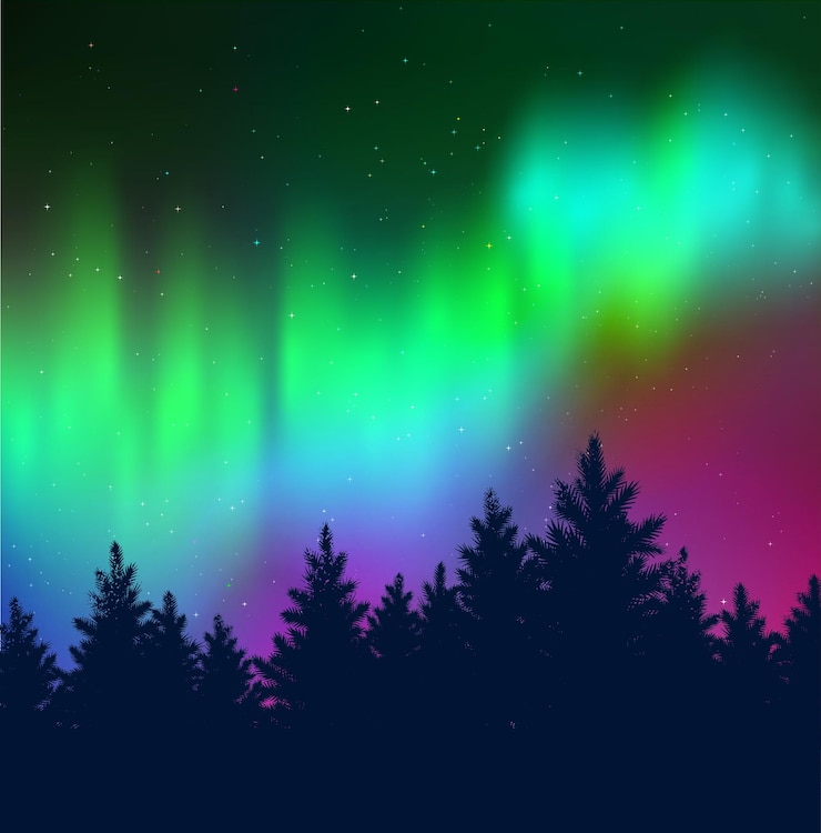 Vetor fundo com aurora boreal e floresta de abetos pretos