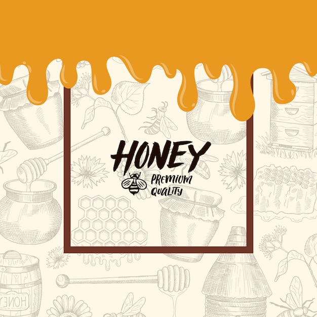 Fundo com elementos de mel esboçado, gotejamento ilustração de banner de mel