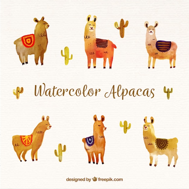 Fundo de alpaca aquarela bonito