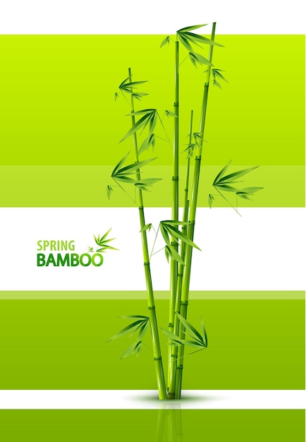 Fundo de bambu