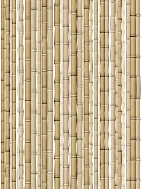Fundo de bambu