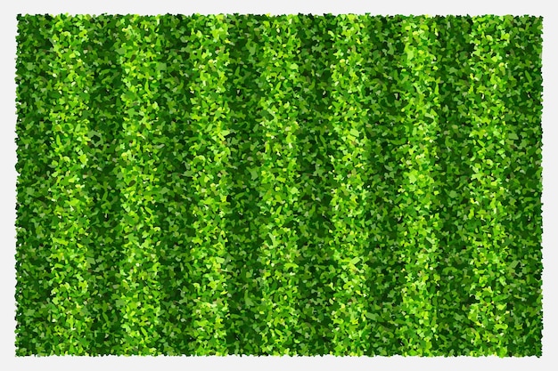 Fundo de campo de grama verde para desporto e recreação
