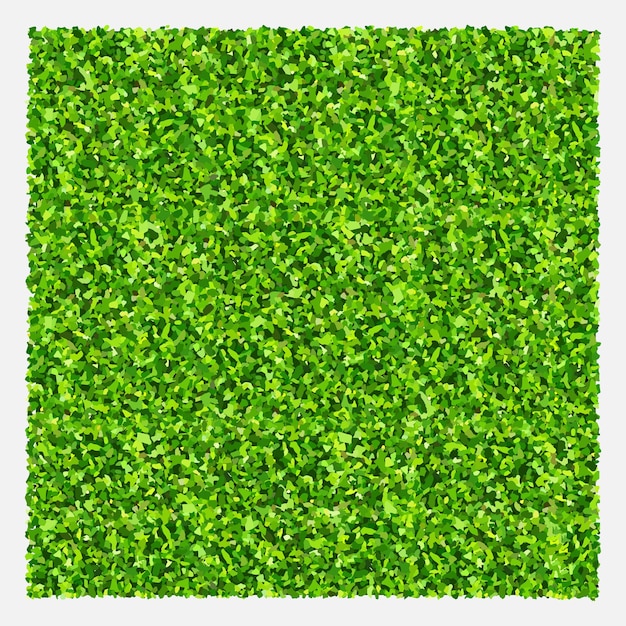 Fundo de campo de grama verde Textura de grama de gramado verde