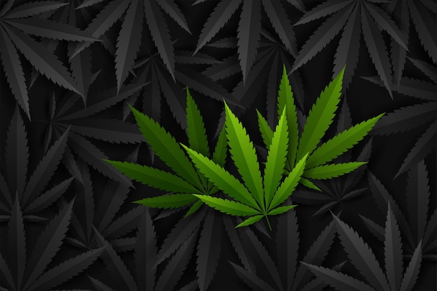 Vetor fundo de cannabis ou maconha.