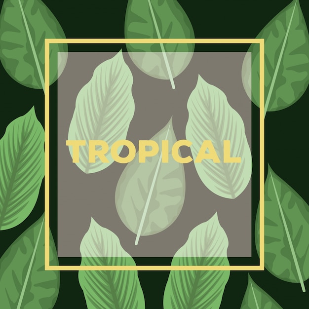 Fundo de cartão preto com folhas decorativas Padrão de plantas e quadro quadrado