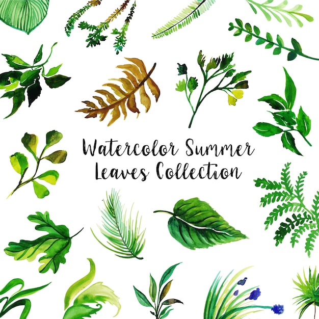 Fundo de coleção de folhas de verão aquarela