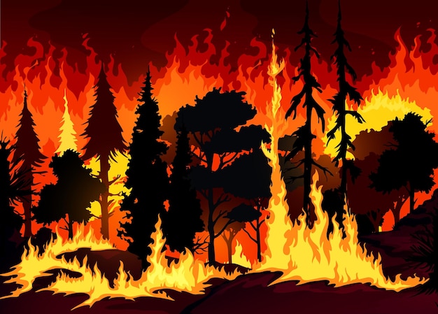 Desenho Do Fogo E Lápis Colorido Na Vista Superior De Fundo Branco  Ilustração Stock - Ilustração de incêndio, diferente: 255374915