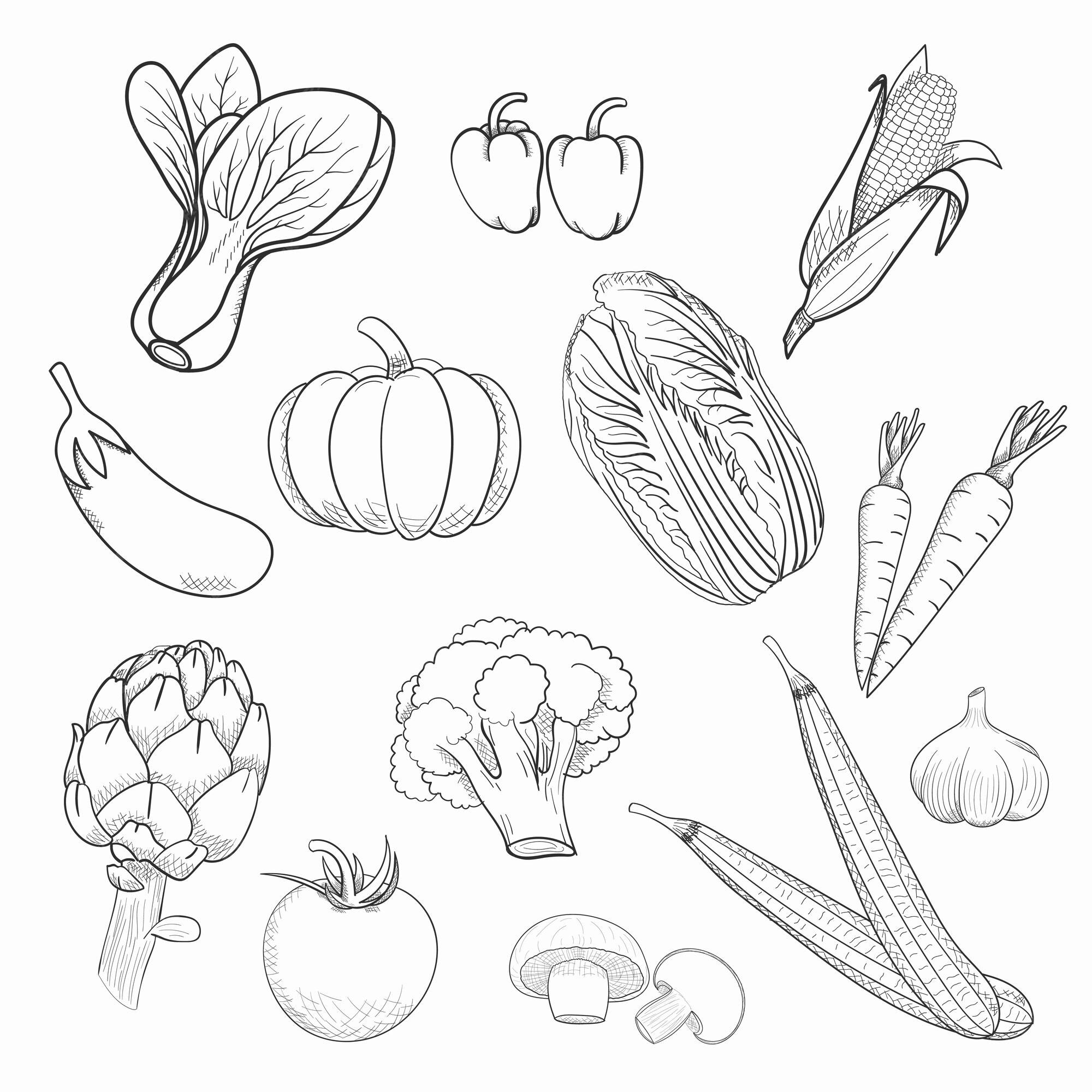 Vetores de Desenho Vegetal Da Mão Do Teste Padrão No Estilo Do Doodle No  Fundo Branco Teste Padrão Vegetal Do Desenho Do Doodle Colheita Da Colheita  E Da Agricultura Do Outono Maduro