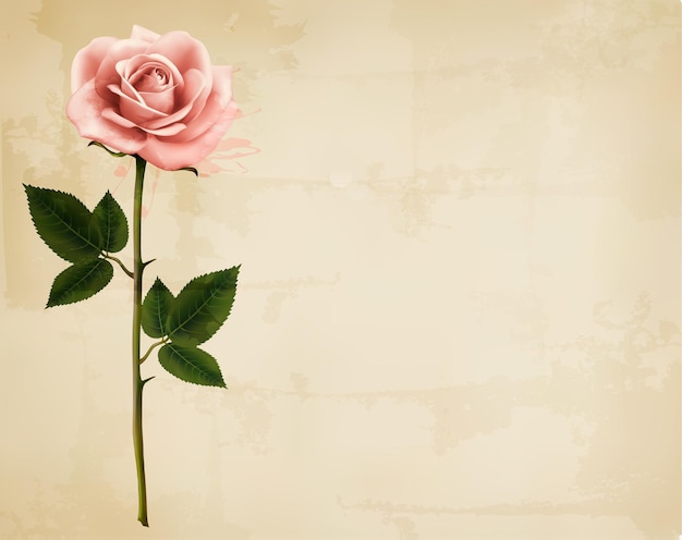 Fundo de férias com flores vermelhas. Vetor.