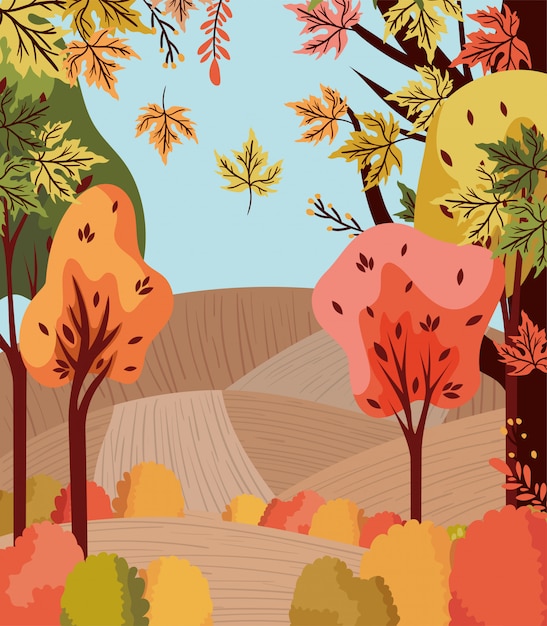 Fundo de floresta outono