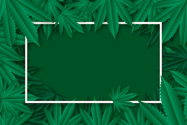 Vetor fundo de folha de cannabis realista