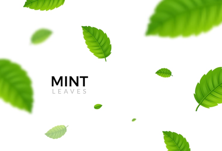 Vetor fundo de folha de hortelã verde eco. planta de design de padrão de hortelã ecologia