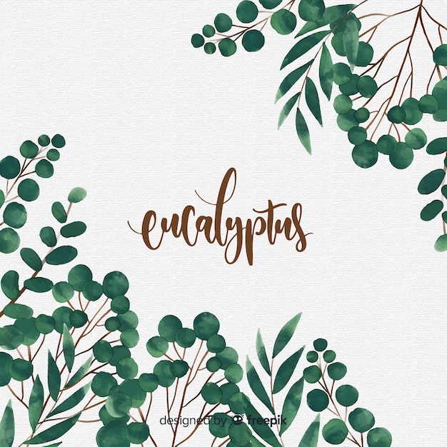 Fundo de folhas de eucalipto em aquarela