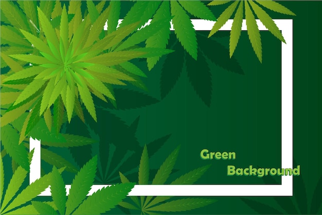 Fundo de folhas verdes e amarelas de Cannabis Sativa e Indica. Maconha medicinal. Formulário simples, para design gráfico de logotipo, emblema, sinal, crachá, etiqueta.