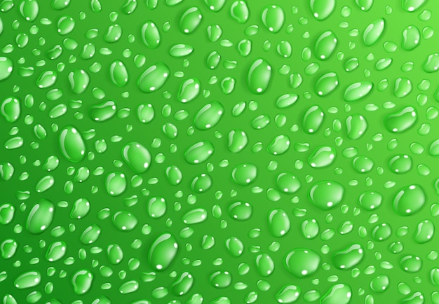 Vetor fundo de gotas de água na superfície em cores verdes