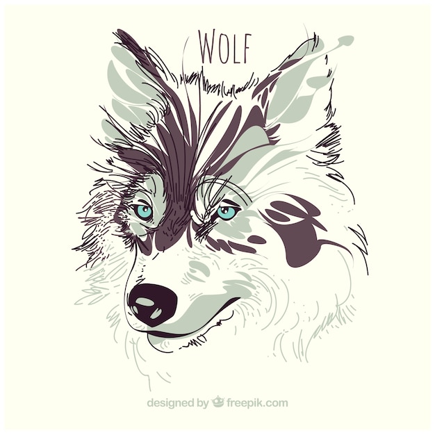 Fundo de lobo aquarela