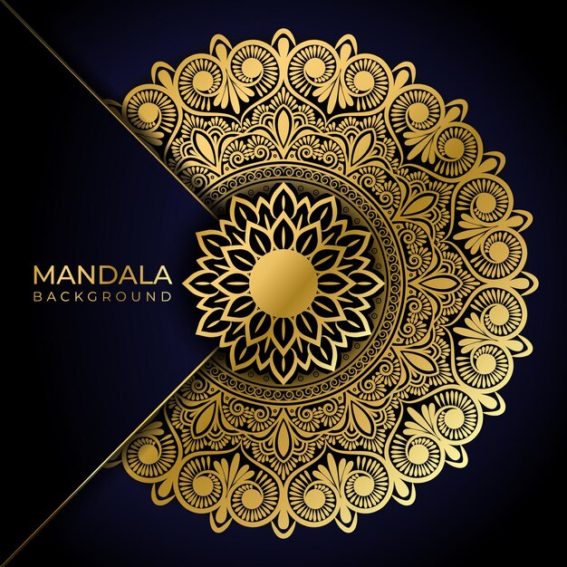 Fundo de mandala de luxo premium vector pattern