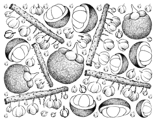 Fundo de mão desenhada de Otaheite groselha e mangostão