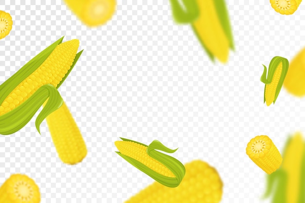 Fundo de milho milho maduro amarelo fresco voador em fundo transparente design plano milho caindo vegetais isolados produto da natureza ilustração em vetor