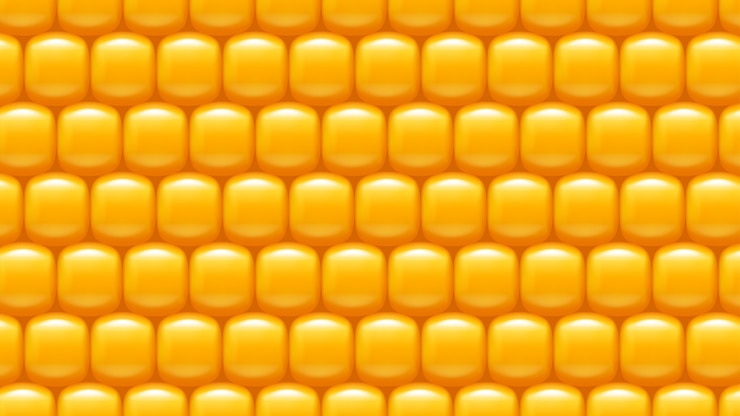 Fundo de milho