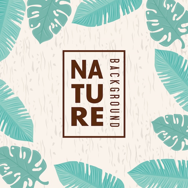 Fundo de natureza, quadro de natureza tropical deixa com cor pastel