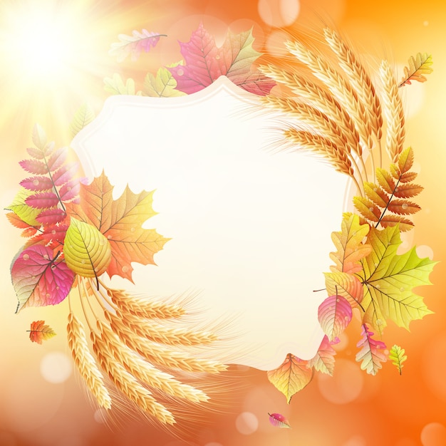 Fundo de Outono com folhas coloridas e lugar para texto.
