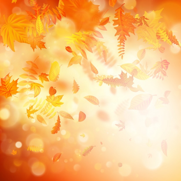 Fundo de Outono com folhas naturais e luz solar.