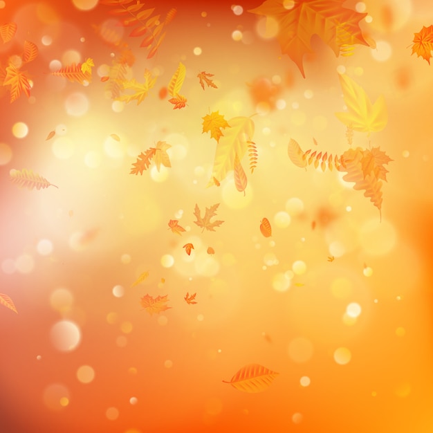 Fundo de Outono com folhas naturais e luz solar.