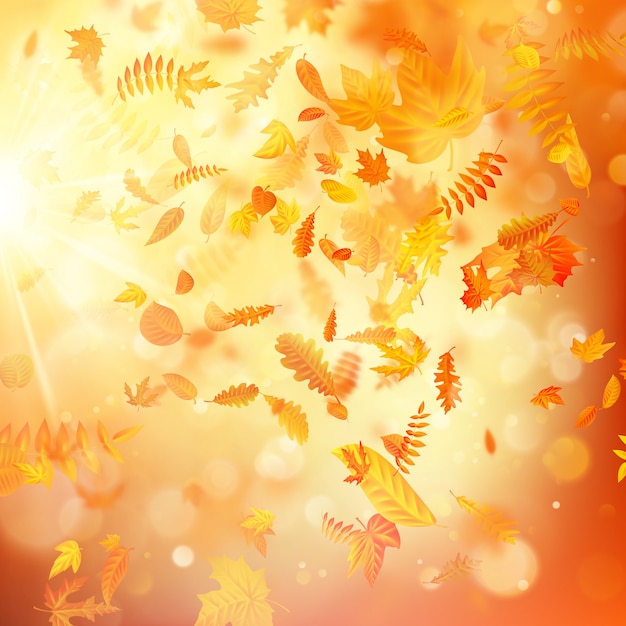 Fundo de Outono com folhas naturais e luz solar.