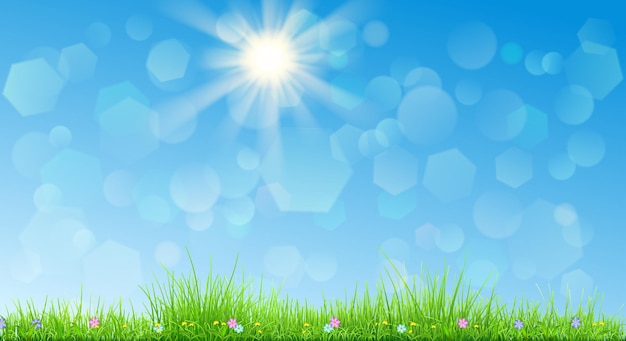 Fundo de primavera em cores azuis com grama e flores do sol do céu