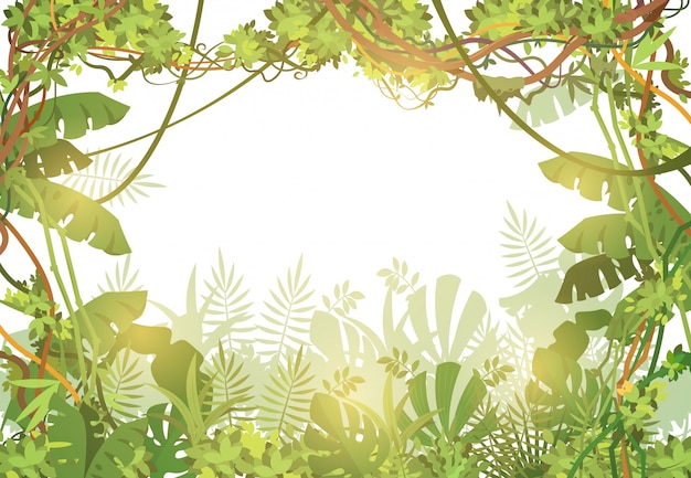 Vetor fundo de quadro tropical de selva. floresta tropical com folhas tropicais e cipós. natureza paisagem com árvores tropicais. ilustração vetorial