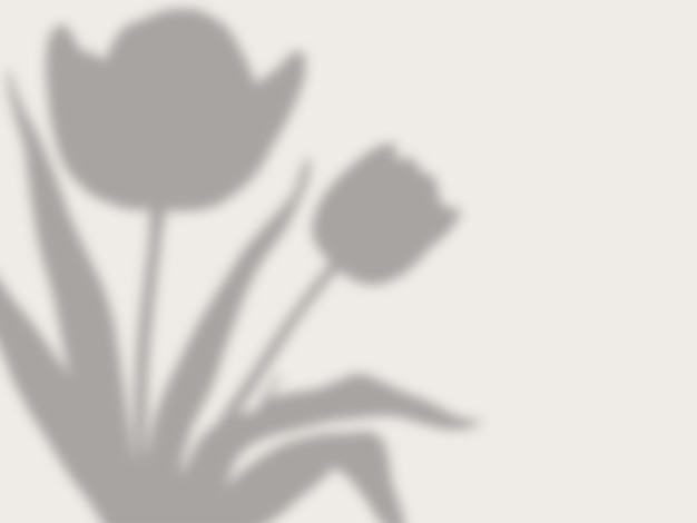 fundo de sombra de folha