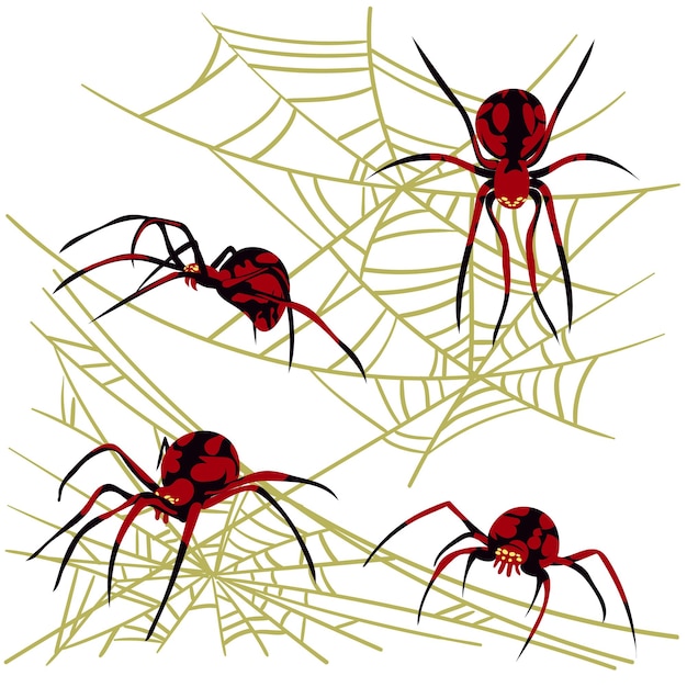 Vetor fundo de teia de aranha para cartões de saudação de halloween em fundo branco uma aranha preta e vermelha