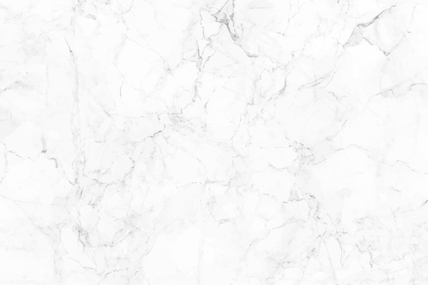 Vetor fundo de textura de mármore branco. usado no design para o cenário de interiores de papel de parede de telha de pele