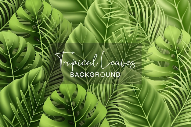 Fundo de verão com folhas tropicais realistas