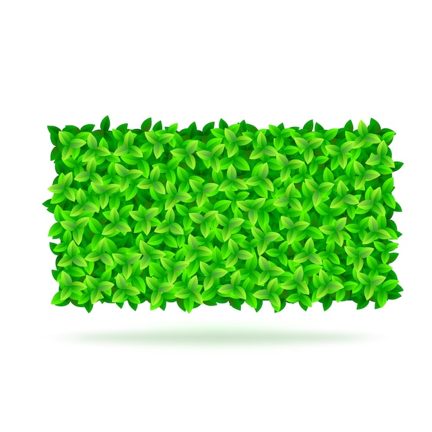 Fundo de verão com folhas verdes. Ilustração vetorial para seu design e apresentação.
