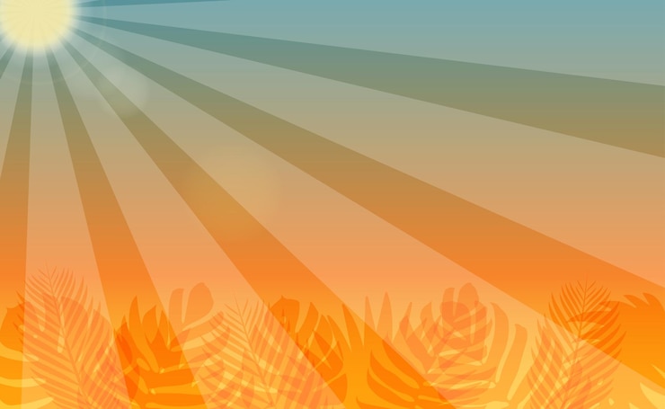Vetor fundo de verão com raios de sol e folhas tropicais bandeira de verão com lugar para inscrição vector